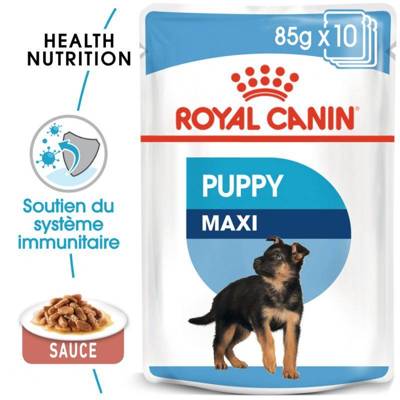 ROYAL CANIN Maxi Puppy 10x140g 