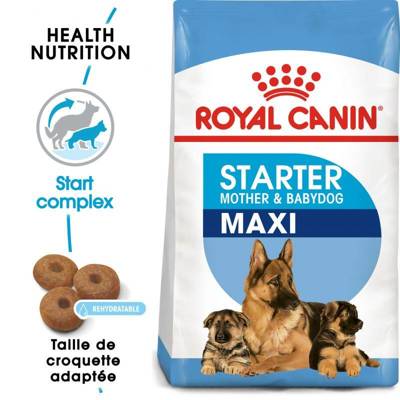 ROYAL CANIN Maxi Starter Mother & Babydog 15kg