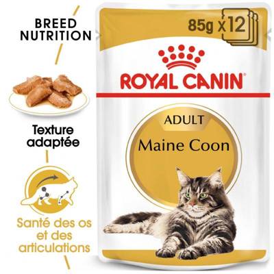 Royal Canin Maine Coon Adult 12x85g 