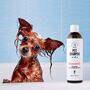 Shampooing PET Camomille_Shampooing 250ml Hypoallergénique