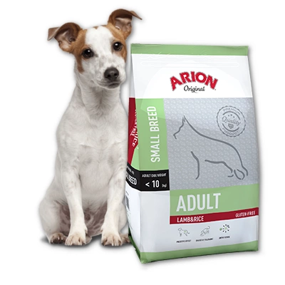 Arion Original Adult Small Breed Agneau & Riz 3kg x2